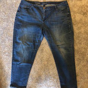 Size 28 Lane Bryant Boyfriend Jeans